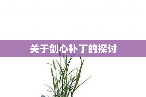 关于剑心补丁的探讨图片