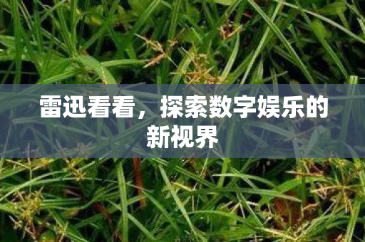 探索数字娱乐的新视界图片