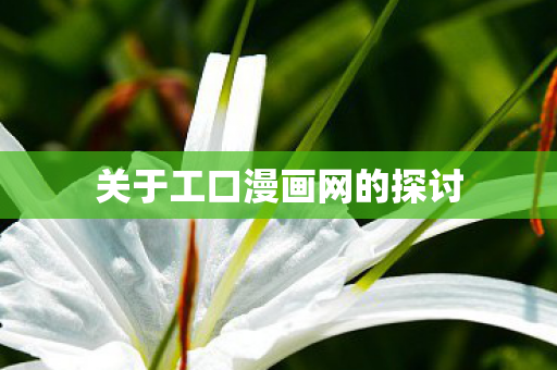 关于工口漫画网的探讨图片