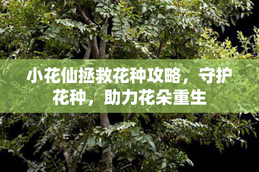 小花仙拯救花种攻略图片