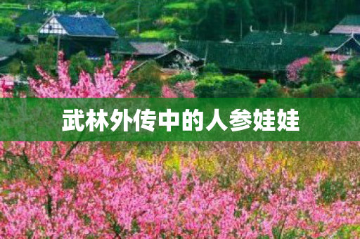武林外传中的人参娃娃图片