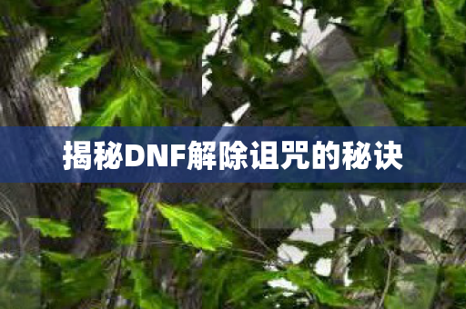 揭秘DNF解除诅咒的秘诀图片