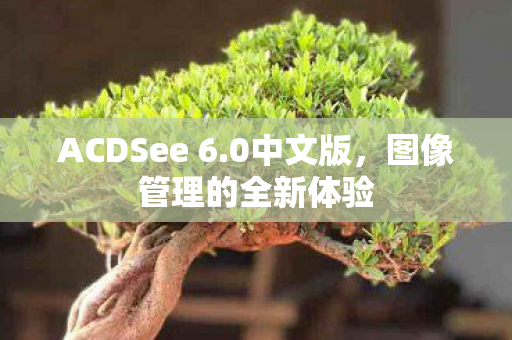 图像管理的全新体验图片