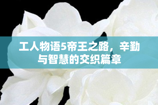 辛勤与智慧的交织篇章图片