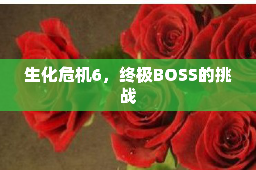 终极BOSS的挑战图片