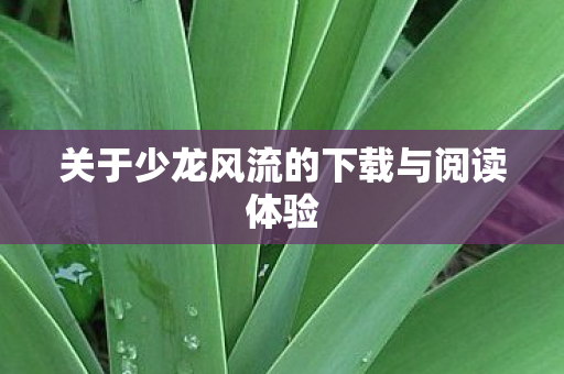 关于少龙风流的下载与阅读体验图片
