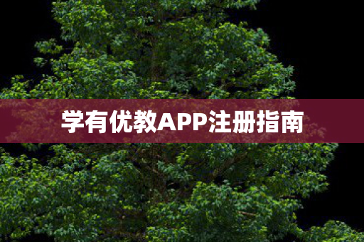 学有优教APP注册指南图片