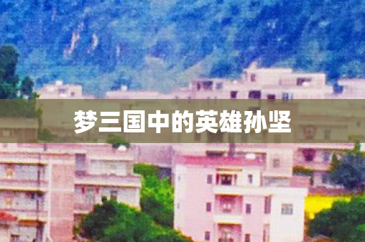 梦三国中的英雄孙坚图片