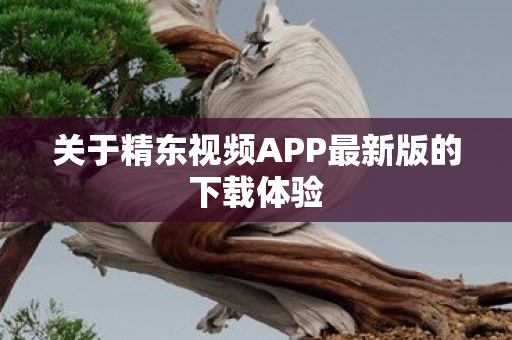 关于精东视频APP最新版的下载体验图片
