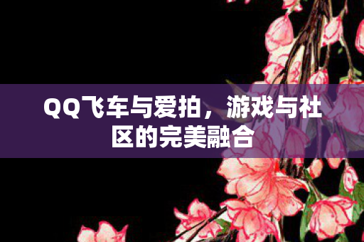 游戏与社区的完美融合图片