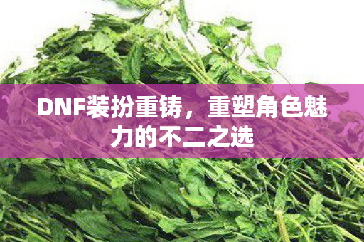 重塑角色魅力的不二之选图片