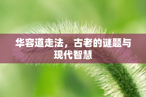 古老的谜题与现代智慧图片
