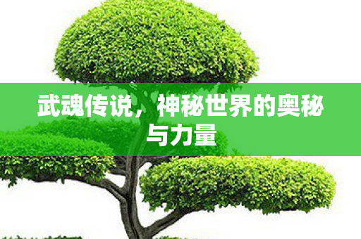 神秘世界的奥秘与力量图片