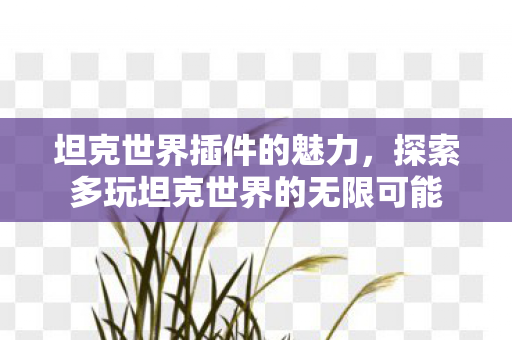 探索多玩坦克世界的无限可能图片