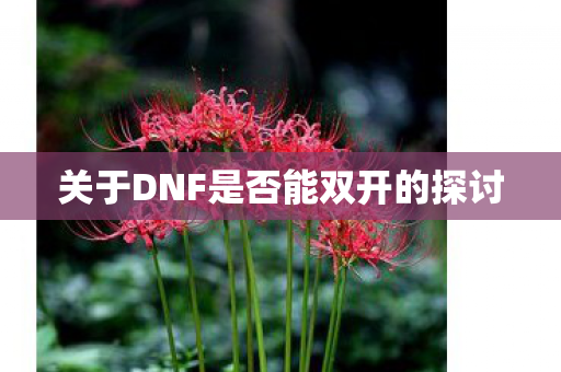 关于DNF是否能双开的探讨图片