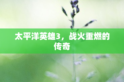 战火重燃的传奇图片