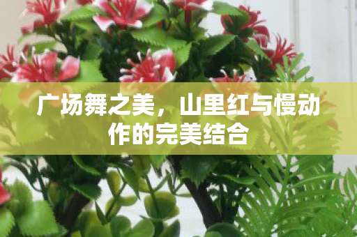 山里红与慢动作的完美结合图片