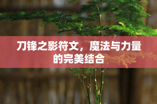 魔法与力量的完美结合图片