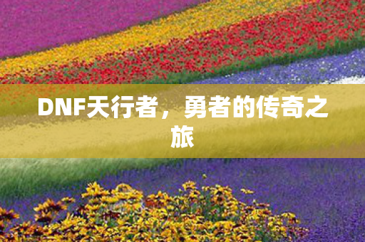 勇者的传奇之旅图片