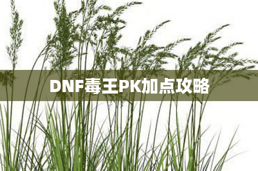 DNF毒王PK加点攻略图片