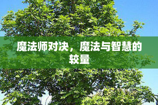 魔法与智慧的较量图片