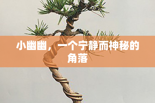 一个宁静而神秘的角落图片