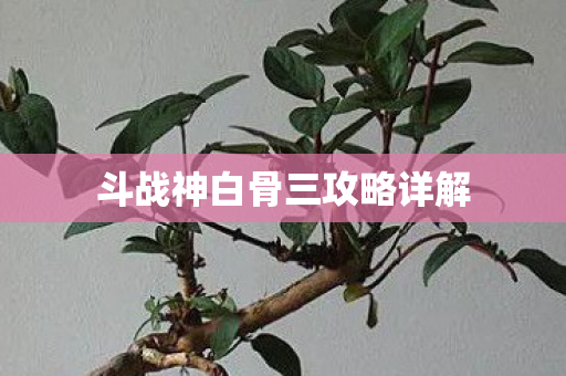 斗战神白骨三攻略详解图片