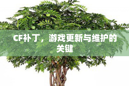 游戏更新与维护的关键图片