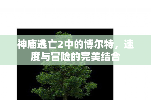 神庙逃亡2中的博尔特图片