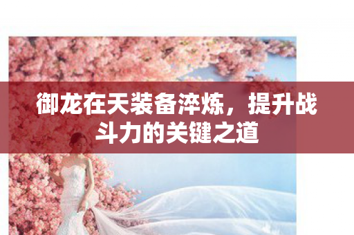 提升战斗力的关键之道图片