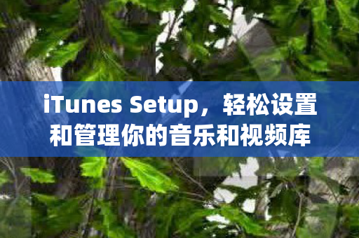 轻松设置和管理你的音乐和视频库图片