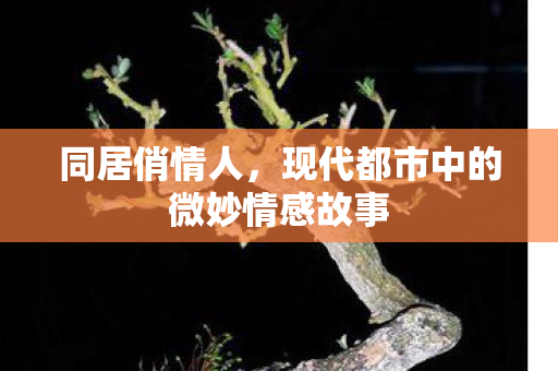 现代都市中的微妙情感故事图片