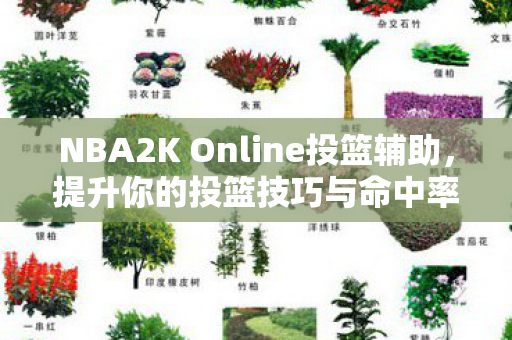 NBA2K Online投篮辅助图片