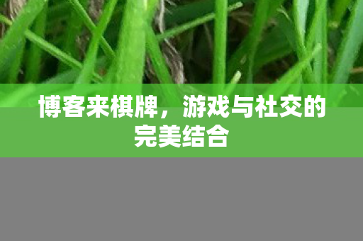 游戏与社交的完美结合图片