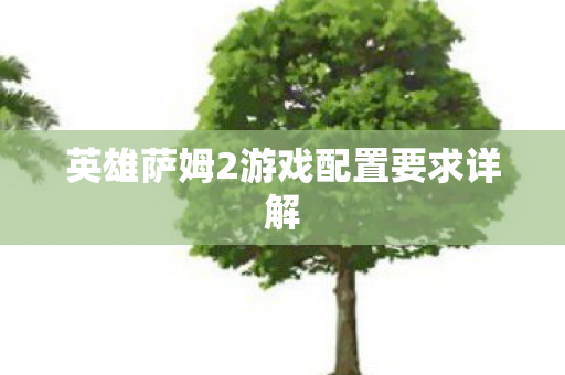 英雄萨姆2游戏配置要求详解图片
