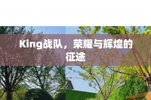 King战队,荣耀与辉煌的征途 King战队,荣耀与辉煌的征途