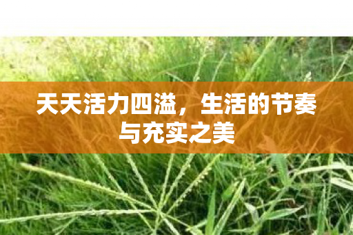 生活的节奏与充实之美图片