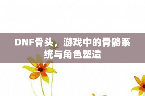 DNF骨头,游戏中的骨骼系统与角色塑造 DNF骨头,游戏中的骨骼系统与角色塑造