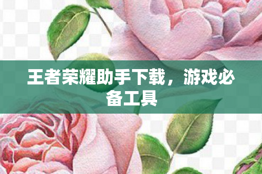 王者荣耀助手下载图片