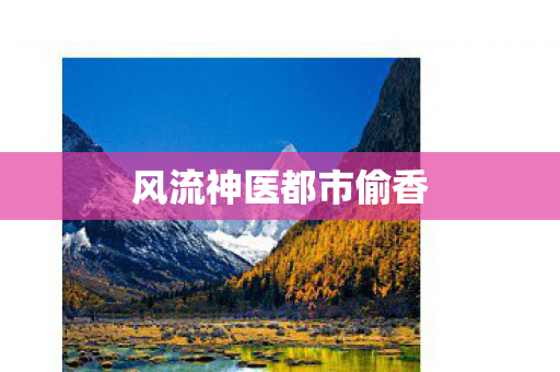 风流神医都市偷香图片