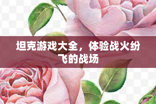 体验战火纷飞的战场图片