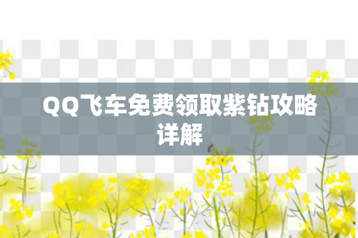 QQ飞车免费领取紫钻攻略详解图片