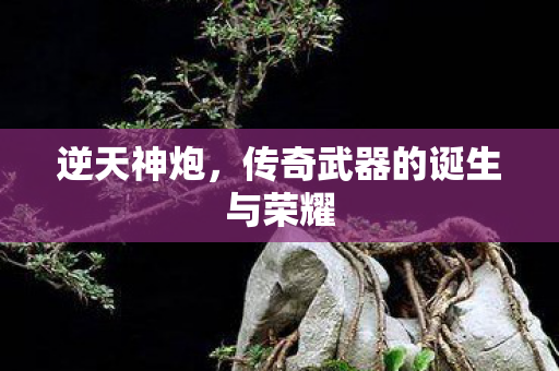 传奇武器的诞生与荣耀图片