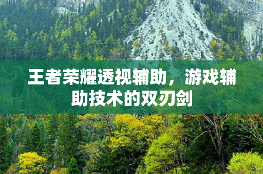 游戏辅助技术的双刃剑图片