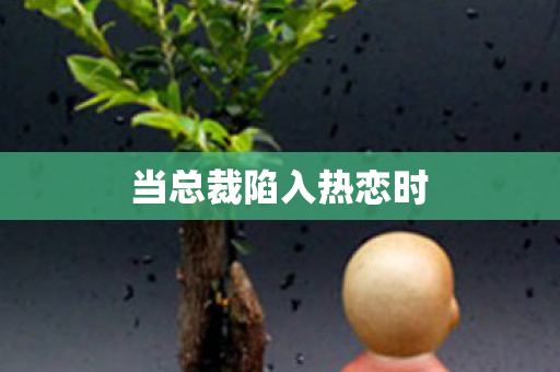 当总裁陷入热恋时图片