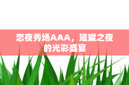 璀璨之夜的光彩盛宴图片