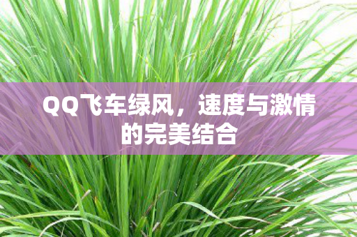 速度与激情的完美结合图片