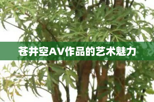 苍井空AV作品的艺术魅力图片