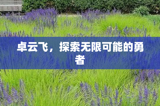 探索无限可能的勇者图片