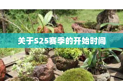 关于S25赛季的开始时间图片
